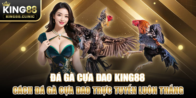 Chia sẻ cách đá gà cựa dao trực tuyến luôn thắng