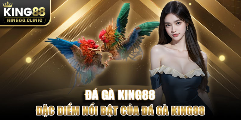 Đặc điểm nổi bật của Đá Gà King88