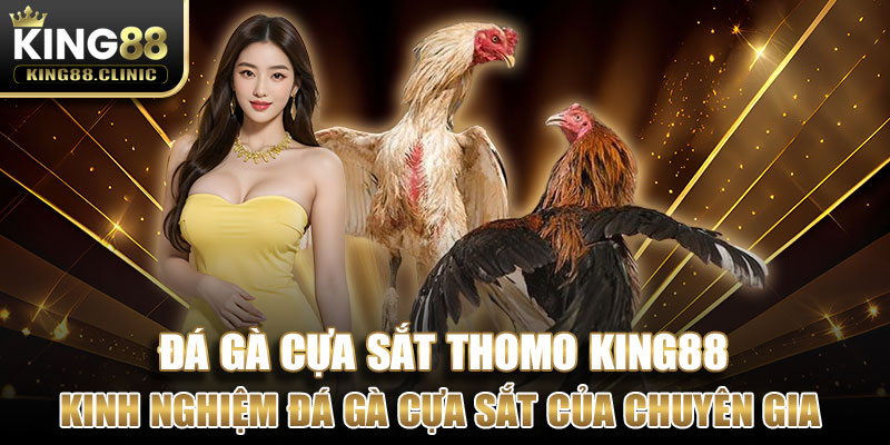 Kinh nghiệm đá gà cựa sắt của chuyên gia King88