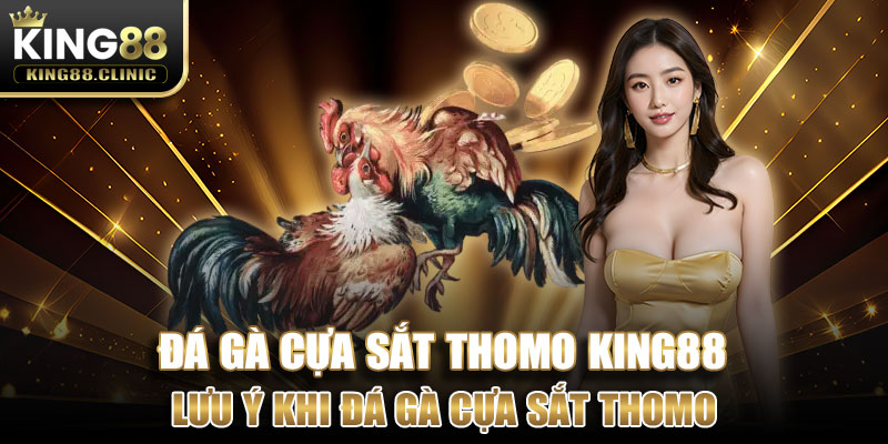 Lưu ý khi đá gà cựa sắt Thomo