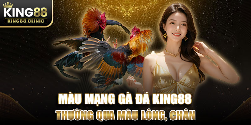 Xem màu mạng gà đá thường qua màu lông, chân